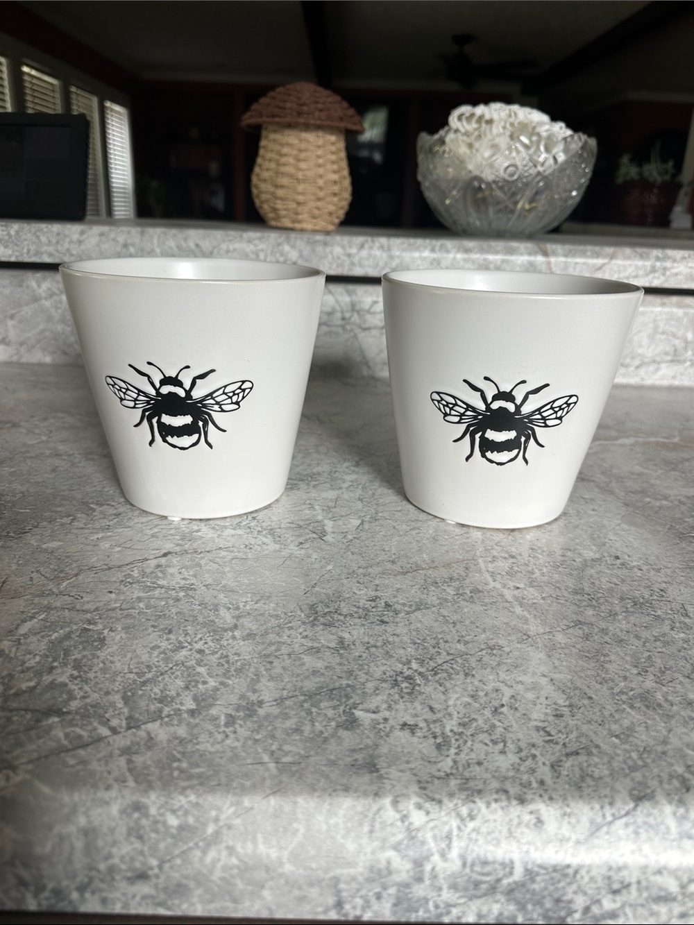 Plant pots